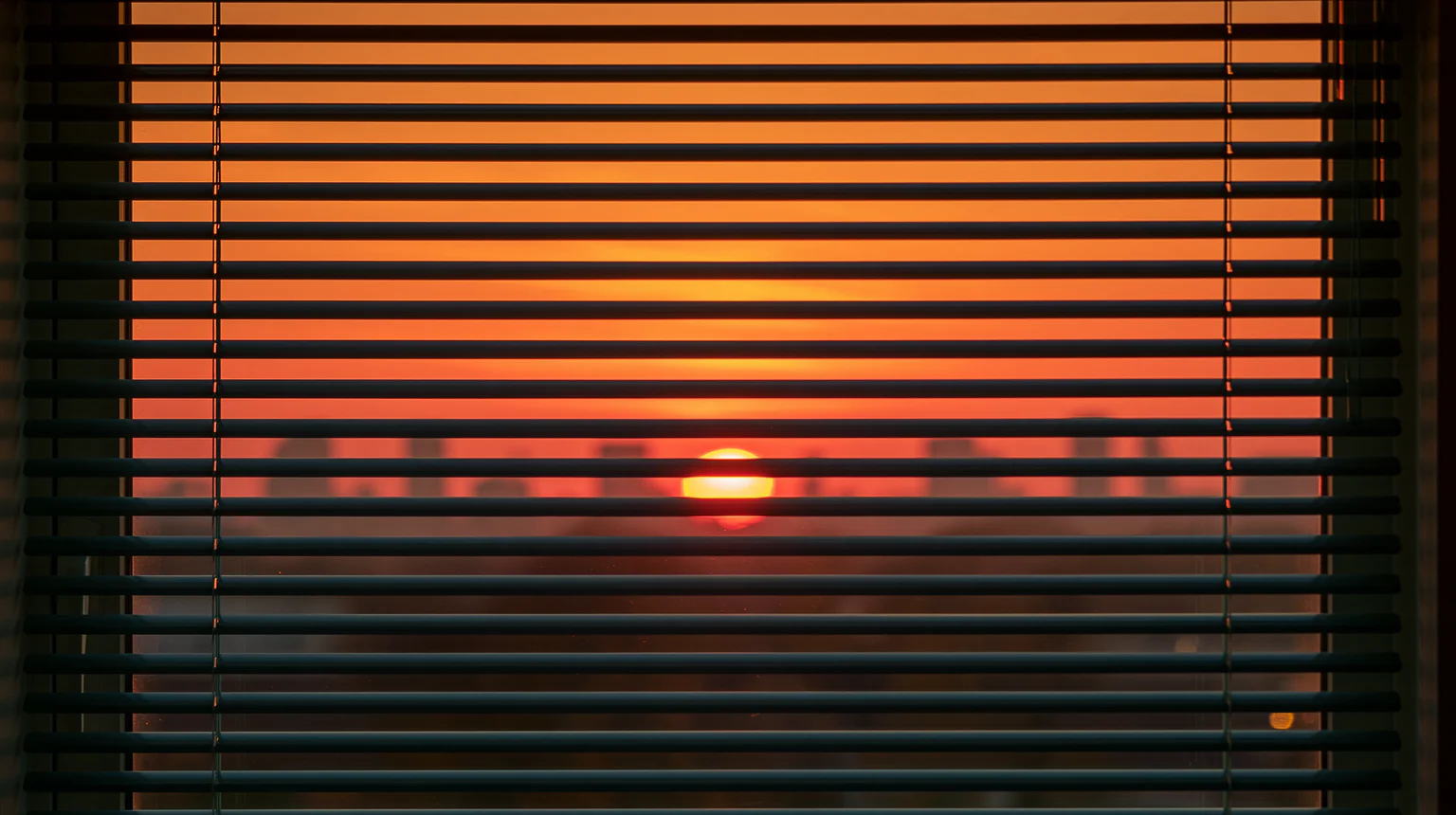 Creation de Tiphaine Syntho pour le challenge #35